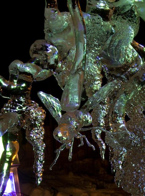 2008_Ice_Carvings_6204.jpg