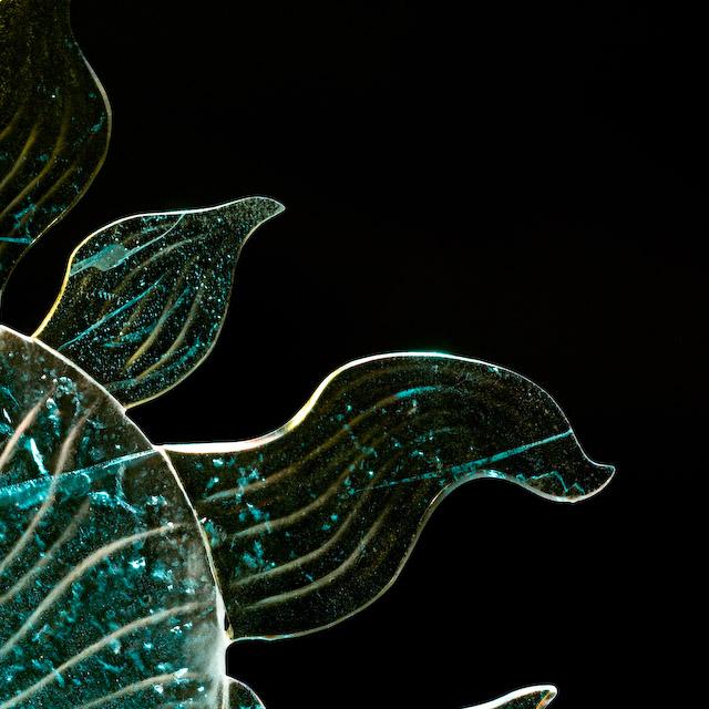 2008_Ice_Carvings_Hasselblad_Kodak_554444.jpg