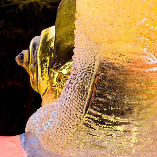 2008_Ice_Carvings_Hasselblad_Kodak_554478.jpg