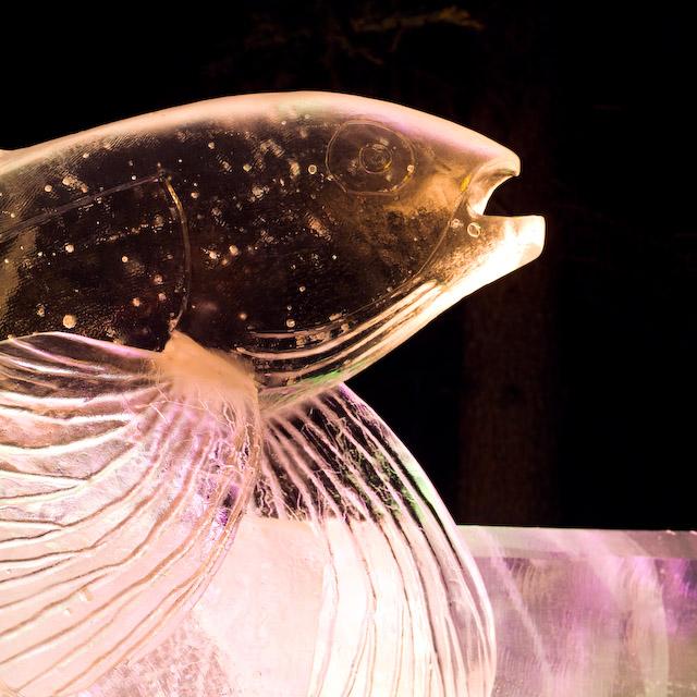 2008_Ice_Carvings_Hasselblad_Kodak_554486.jpg