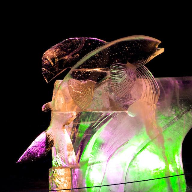 2008_Ice_Carvings_Hasselblad_Kodak_554487.jpg