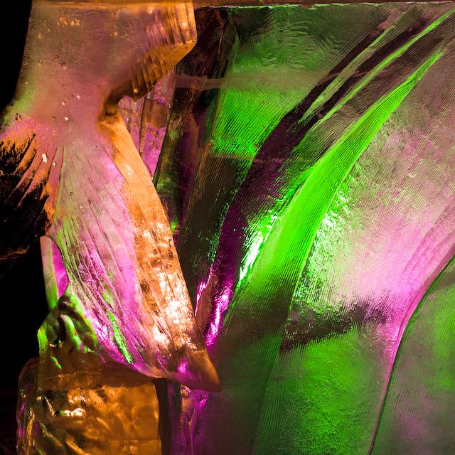 2008_Ice_Carvings_Hasselblad_Kodak_554491.jpg