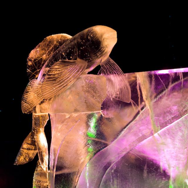 2008_Ice_Carvings_Hasselblad_Kodak_554496.jpg