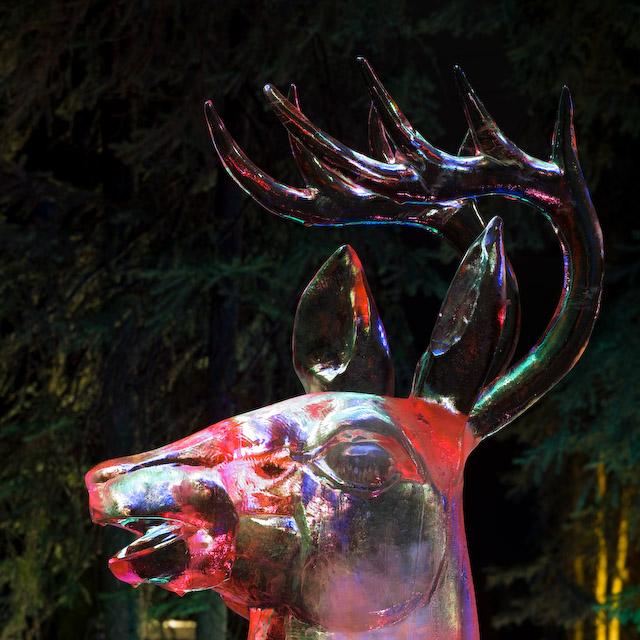 2008_Ice_Carvings_Hasselblad_Kodak_554508.jpg