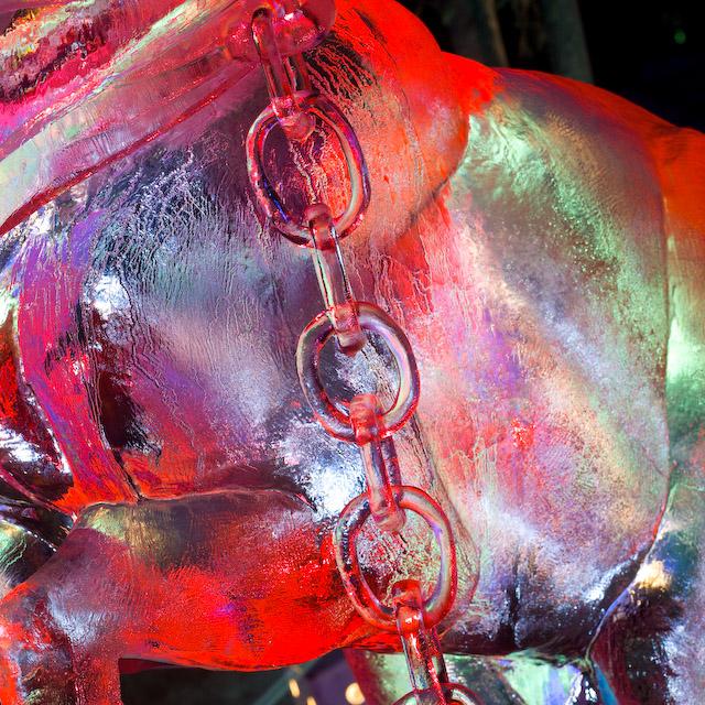 2008_Ice_Carvings_Hasselblad_Kodak_554512.jpg
