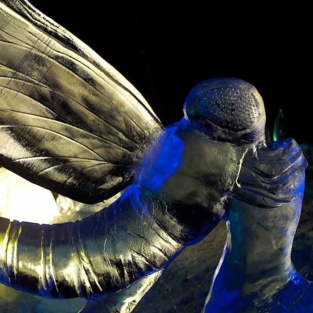 2008_Ice_Carvings_Hasselblad_Kodak_554515.jpg