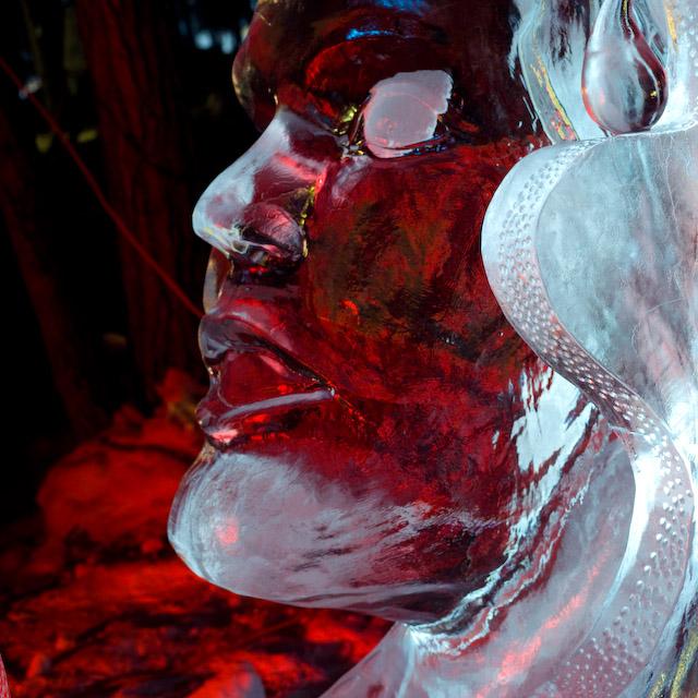 2008_Ice_Carvings_Hasselblad_Kodak_554533.jpg