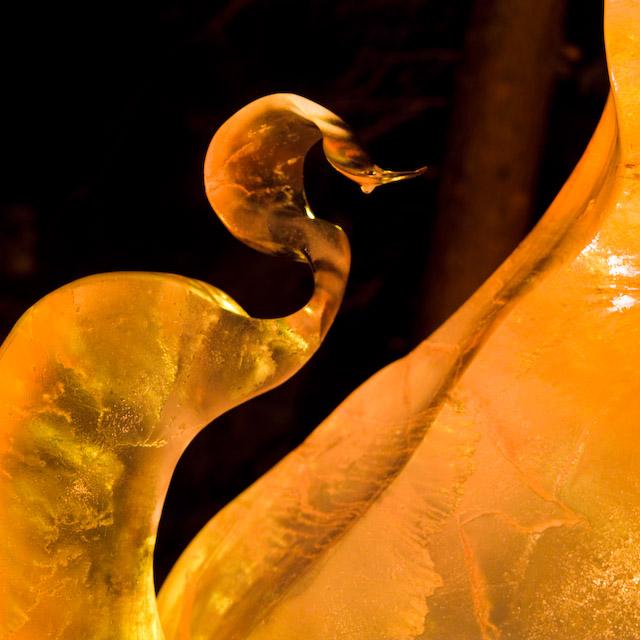 2008_Ice_Carvings_Hasselblad_Kodak_554574.jpg