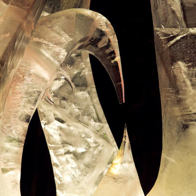 2008_Ice_Carvings_Hasselblad_Kodak_554585.jpg