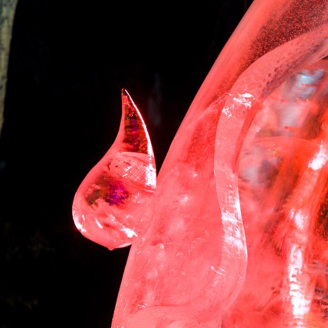 2008_Ice_Carvings_Hasselblad_Kodak_554588.jpg