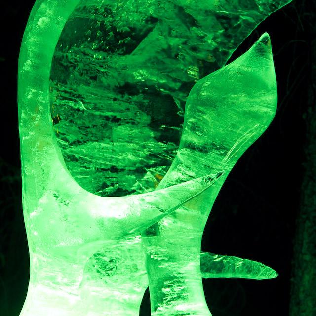 2008_Ice_Carvings_Hasselblad_Kodak_554598.jpg