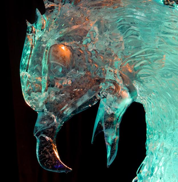 2008_Ice_Carvings_Hasselblad_Kodak_554615.jpg