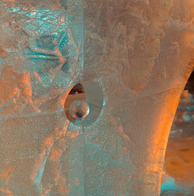 2008_Ice_Carvings_Hasselblad_Kodak_554617.jpg