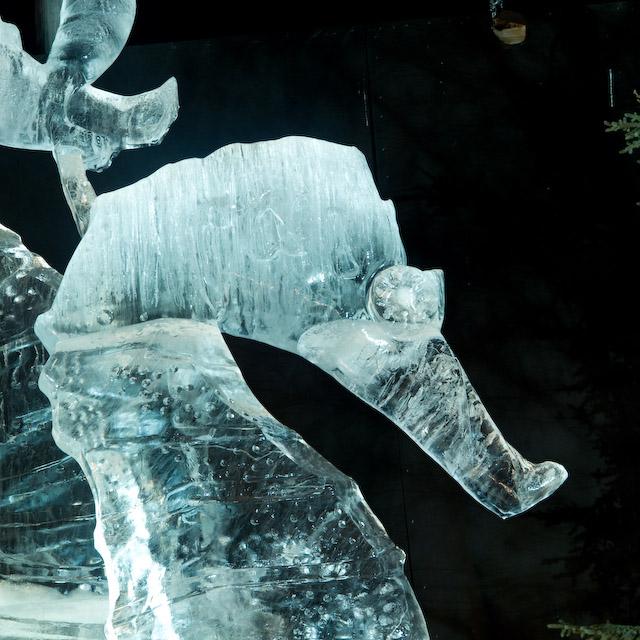 2008_Ice_Carvings_Hasselblad_Kodak_554633.jpg