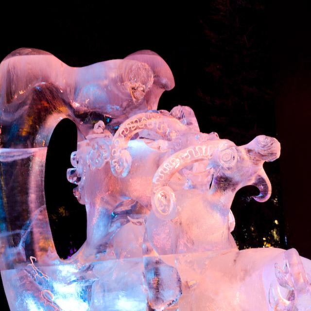 2008_Ice_Carvings_Hasselblad_Kodak_554686.jpg