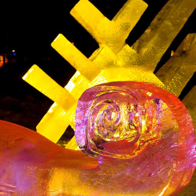 2008_Ice_Carvings_Hasselblad_Kodak_554693.jpg