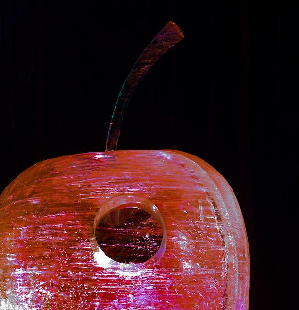 2008_Ice_Carvings_Hasselblad_Kodak_554715.jpg