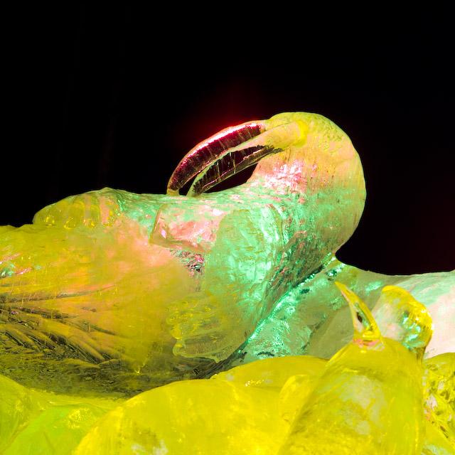 2008_Ice_Carvings_Hasselblad_Kodak_554754.jpg