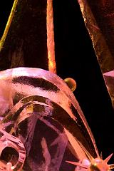 2008_Ice_Carvings_6195
