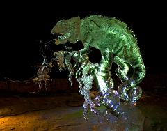 2008_Ice_Carvings_6199