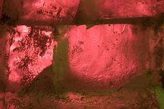 2008_Ice_Carvings_6222