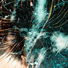 2008_Ice_Carvings_Hasselblad_Kodak_554448