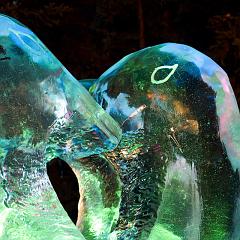 2008_Ice_Carvings_Hasselblad_Kodak_554503