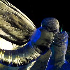 2008_Ice_Carvings_Hasselblad_Kodak_554515
