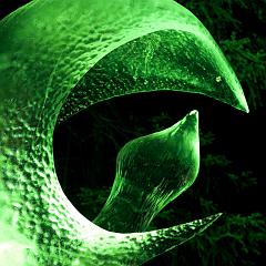 2008_Ice_Carvings_Hasselblad_Kodak_554543