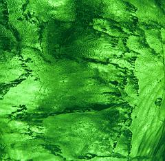 2008_Ice_Carvings_Hasselblad_Kodak_554595