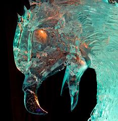 2008_Ice_Carvings_Hasselblad_Kodak_554615