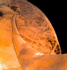 2008_Ice_Carvings_Hasselblad_Kodak_554620