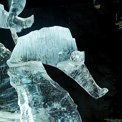 2008_Ice_Carvings_Hasselblad_Kodak_554633