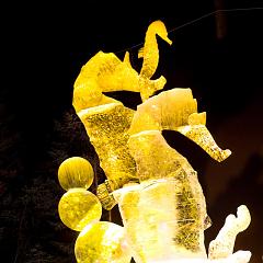 2008_Ice_Carvings_Hasselblad_Kodak_554670