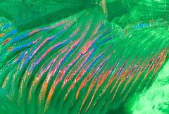 2008_Ice_Carvings_Hasselblad_Kodak_554683