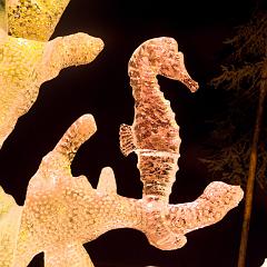 2008_Ice_Carvings_Hasselblad_Kodak_554726