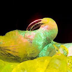 2008_Ice_Carvings_Hasselblad_Kodak_554754