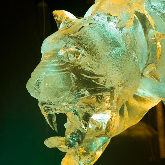 Ice_Alaska_09_Hasselblad_0003448.jpg - *temp*