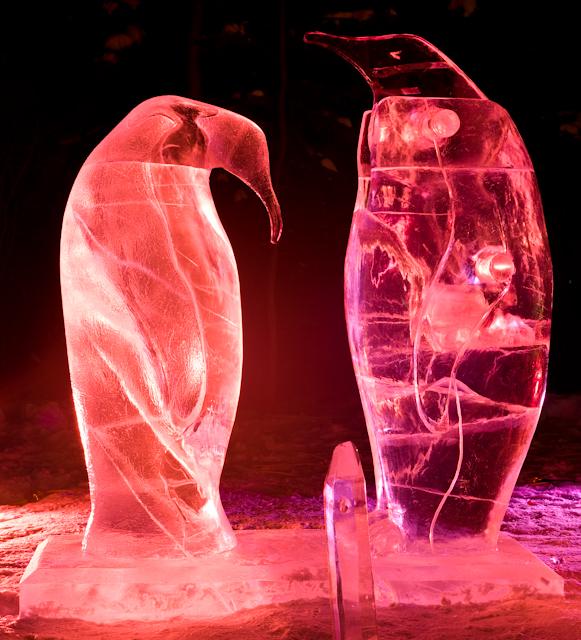 Ice_Alaska_09_Hasselblad_0003455.jpg - *temp*