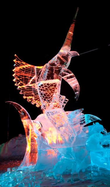 Ice_Alaska_09_Sony_4900.jpg - SONY DSC