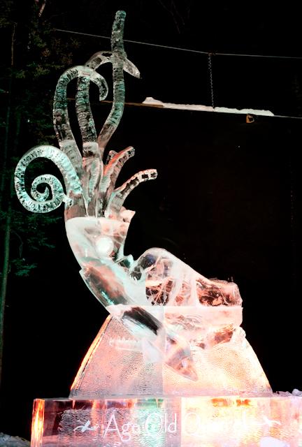 Ice_Alaska_09_Sony_4912.jpg - SONY DSC