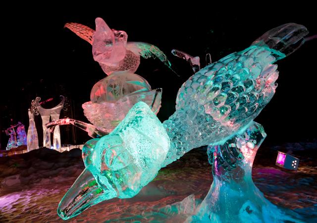 Ice_Alaska_09_Sony_4922.jpg - SONY DSC