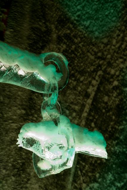 Ice_Carvings_09_Sony_4791.jpg - It snowed the second day.