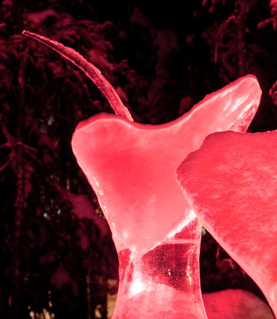 Ice_Carvings_09_Sony_4795.jpg - SONY DSC