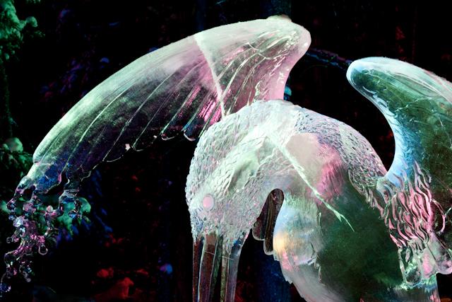 Ice_Carvings_09_Sony_4820.jpg - SONY DSC