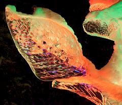 Ice_Carvings_09_Sony_4811