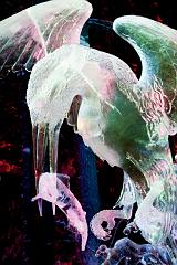 Ice_Carvings_09_Sony_4819