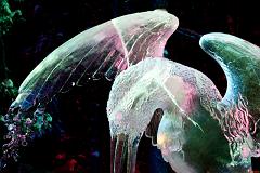 Ice_Carvings_09_Sony_4820