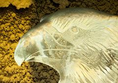 Ice_Carvings_09_Sony_4834