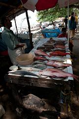 India_JanFeb_10_Cochin_7178